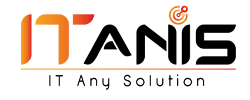 Logo-ITANIS-250-100web-site-2026-